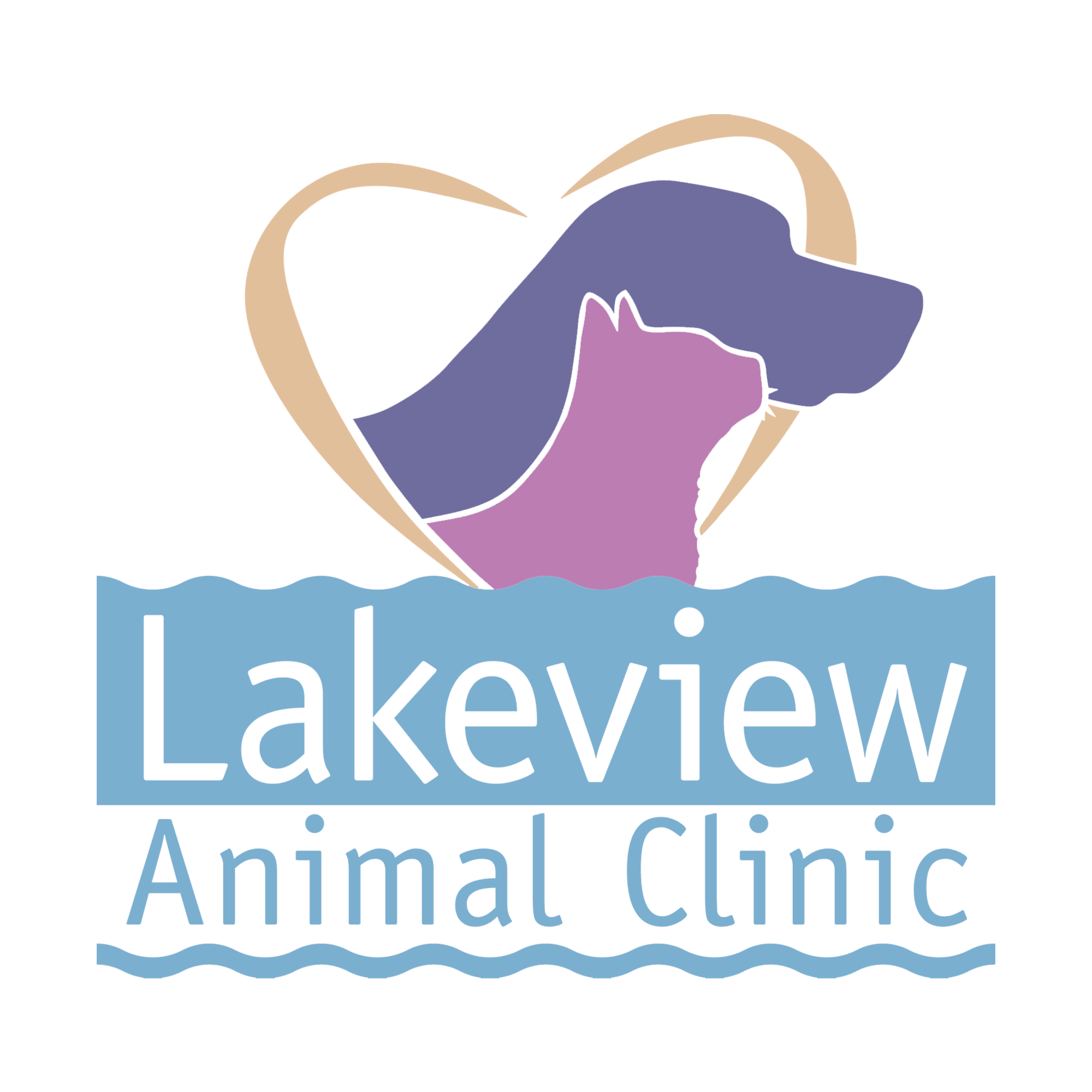Best Veterinary Clinic in Pewaukee, WI 53072 | Lakeview AC