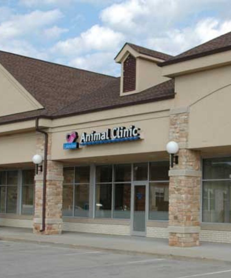 Best Veterinary Clinic in Pewaukee, WI 53072 | Lakeview AC