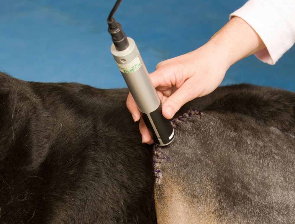 Laser Therapy Light